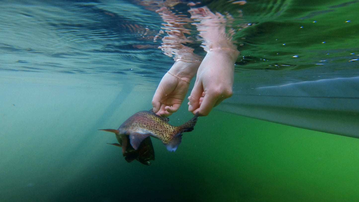 Spring/Summer - Half Day