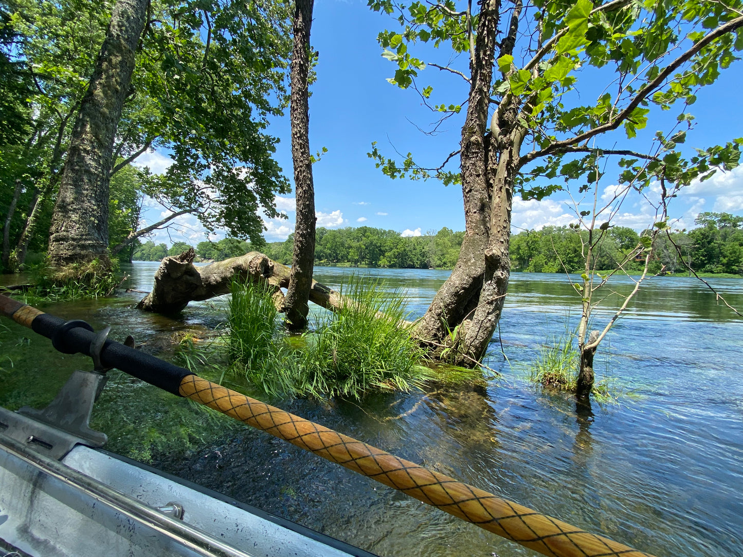 Spring/Summer - Half Day