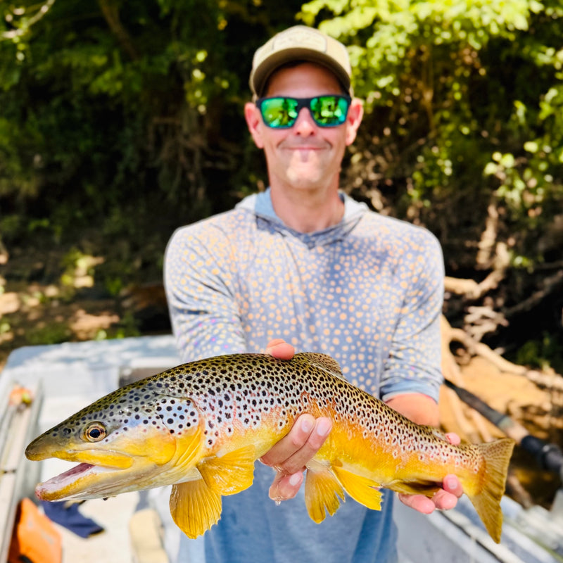 Angler holding a brown trout in a boat beside a wooded riverbank.